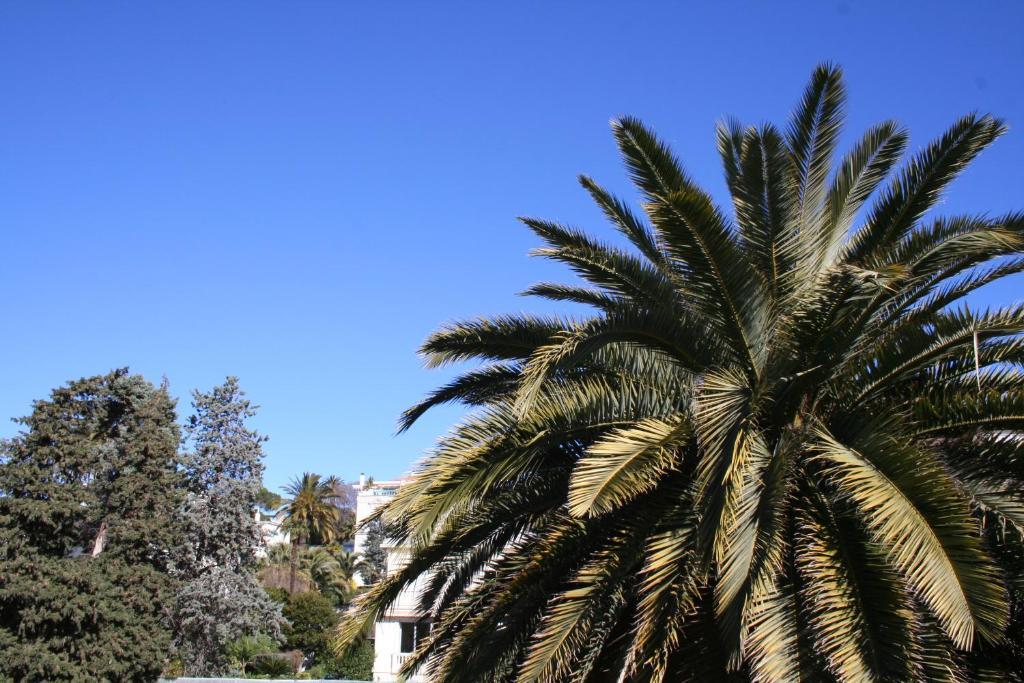 Residence La Villa Leonie Νίκαια Δωμάτιο φωτογραφία